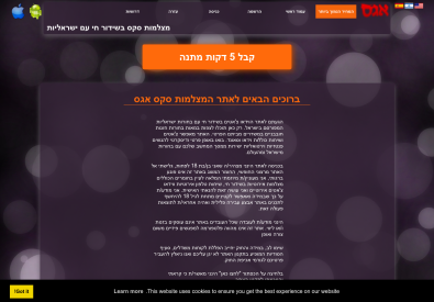 מצלמות סקס